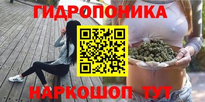 ешки Кинель
